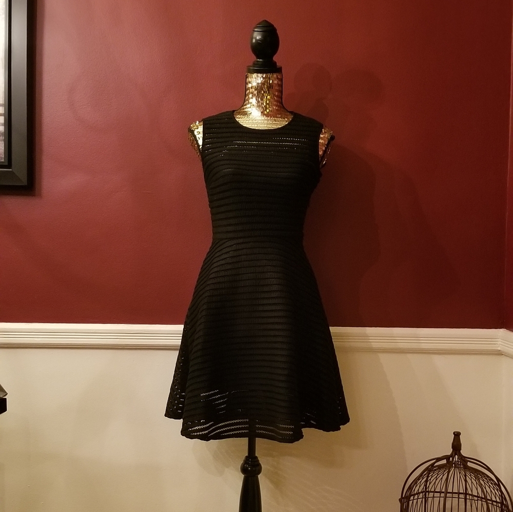 Netted Panelled Fit And Flare Skater Dress